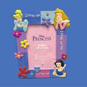Disney Princess Floral Frame with Blue and Pink Accents